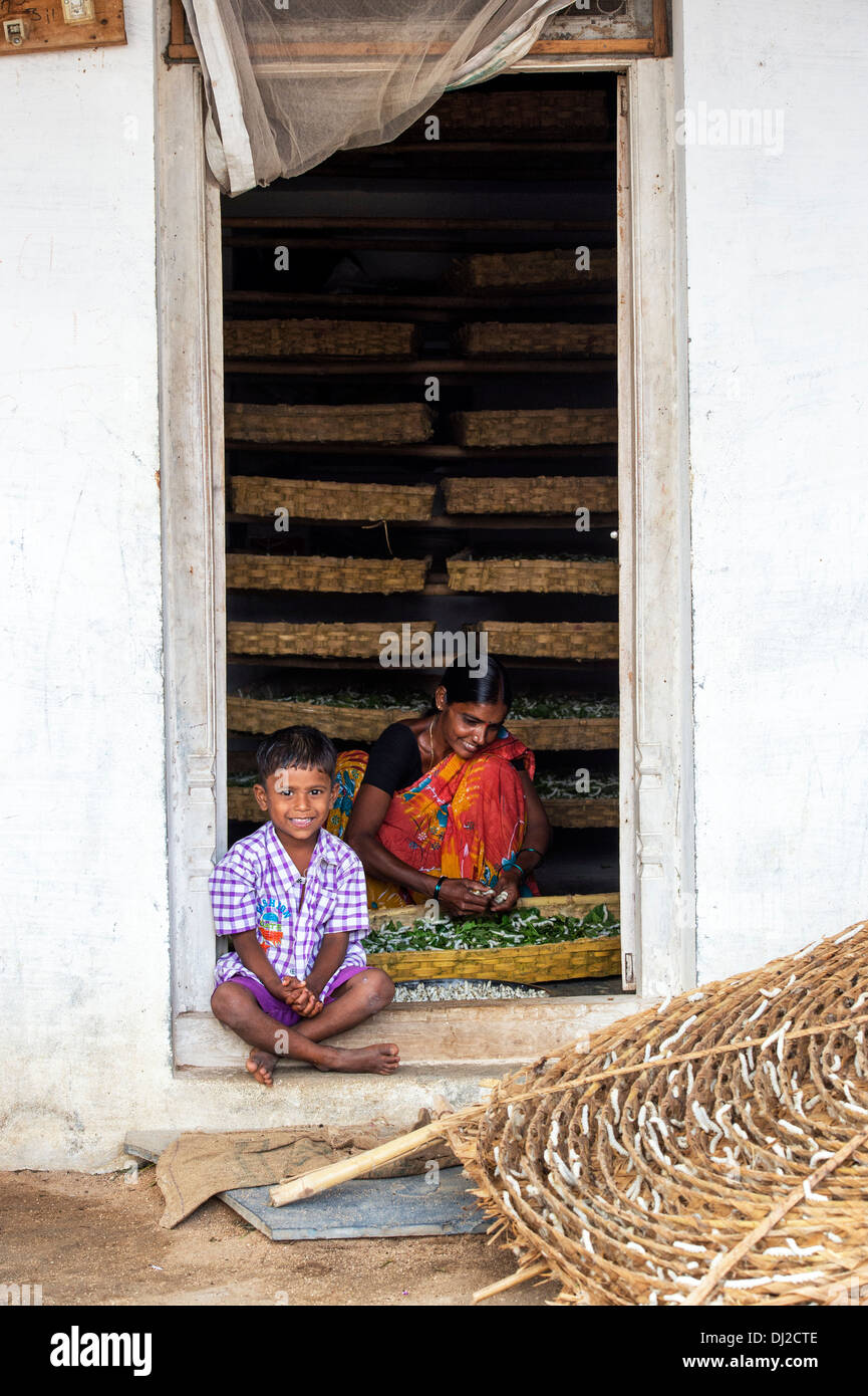 Donna indiana allevamento dei bachi da seta in un Indiano rurale Casa di villaggio. Andhra Pradesh, India Foto Stock