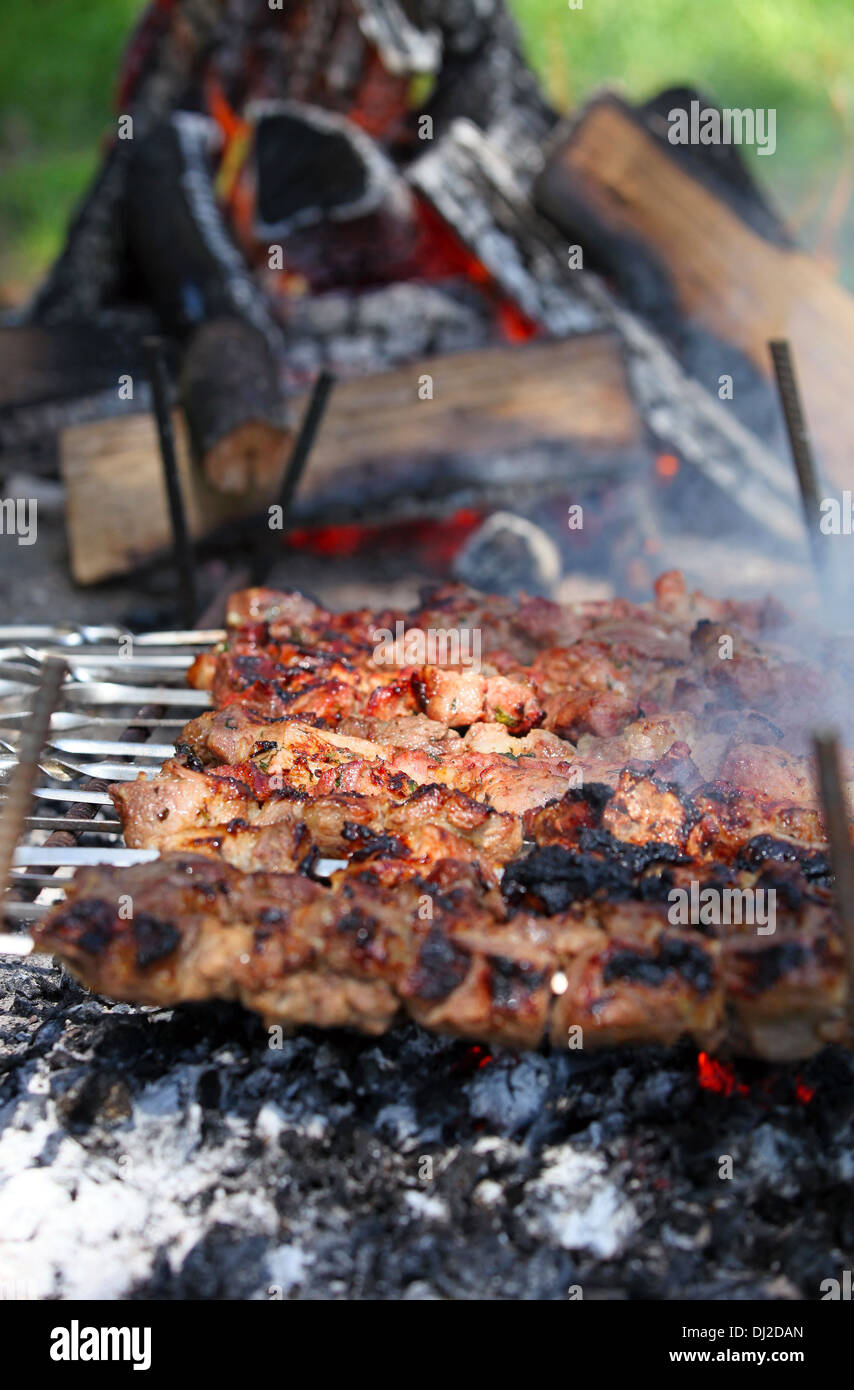 Shish kebab cotto alla griglia su fuoco Foto Stock