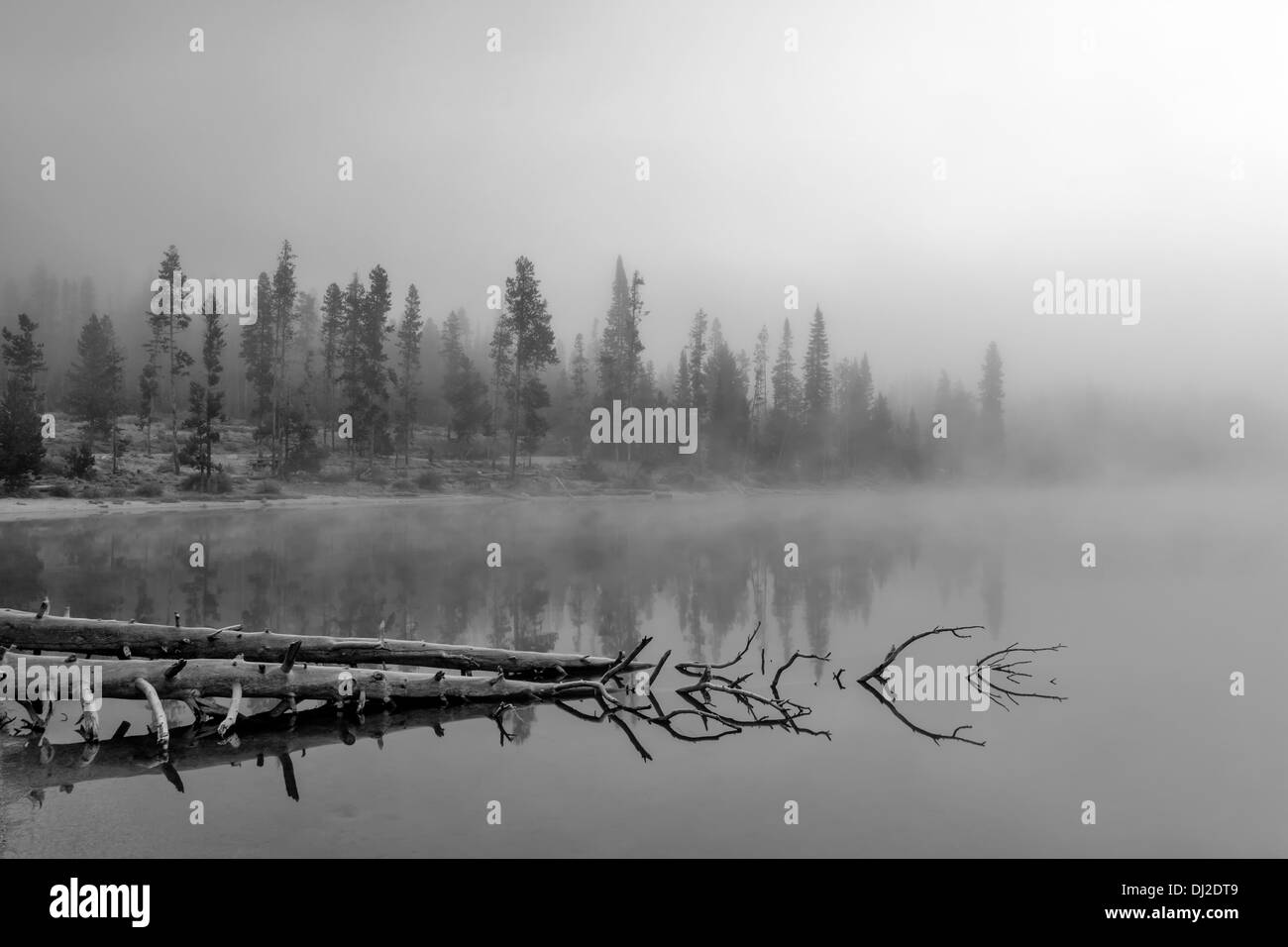 Foschia mattutina su un lago di montagna con la nebbia Foto Stock