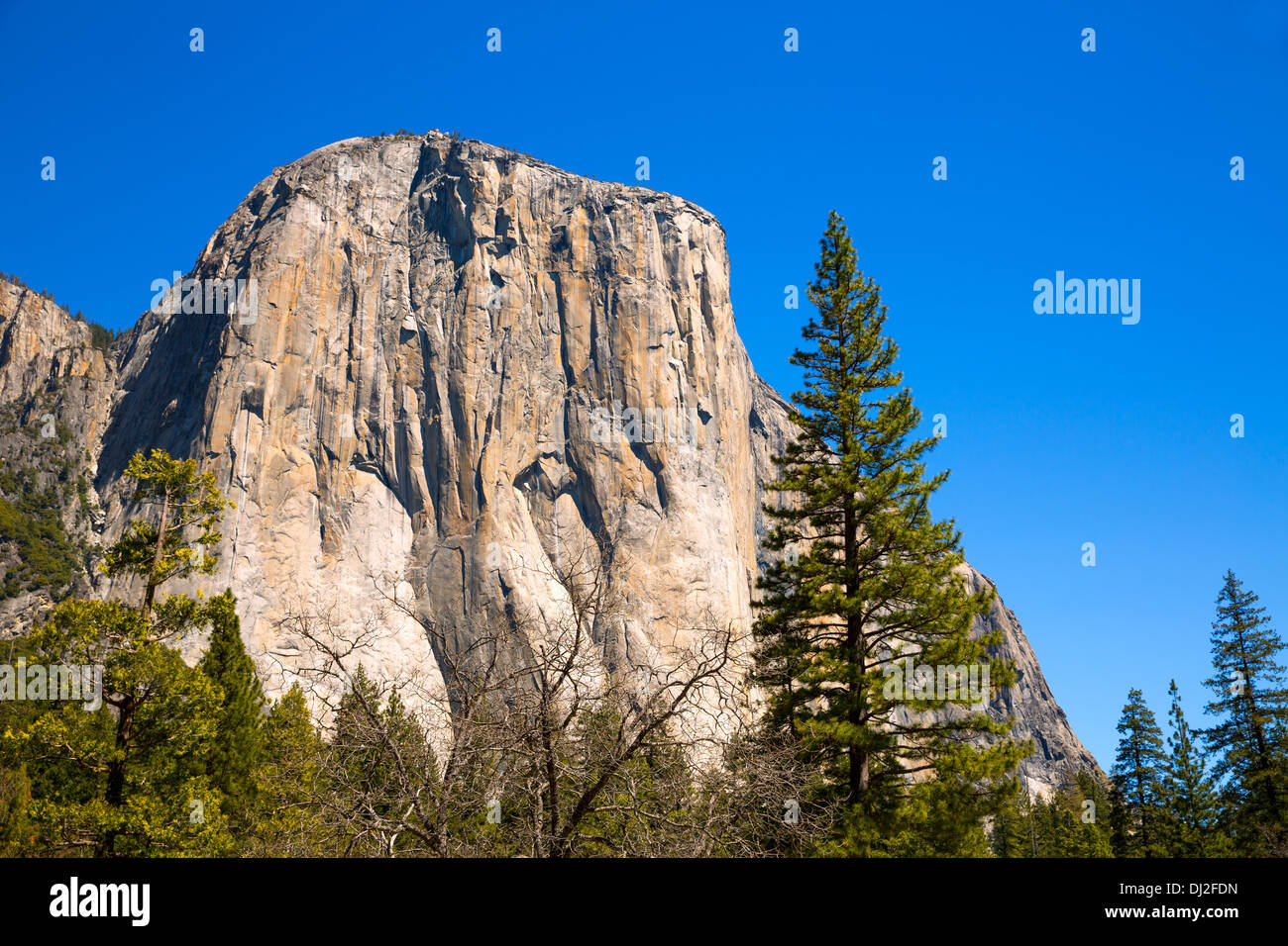 Parco Nazionale di Yosemite El Capitan California USA Foto Stock