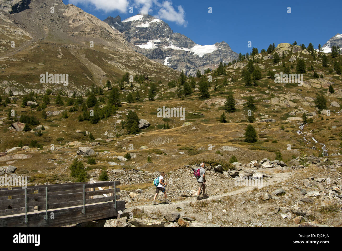Gli escursionisti nella valle Loetschental Foto Stock