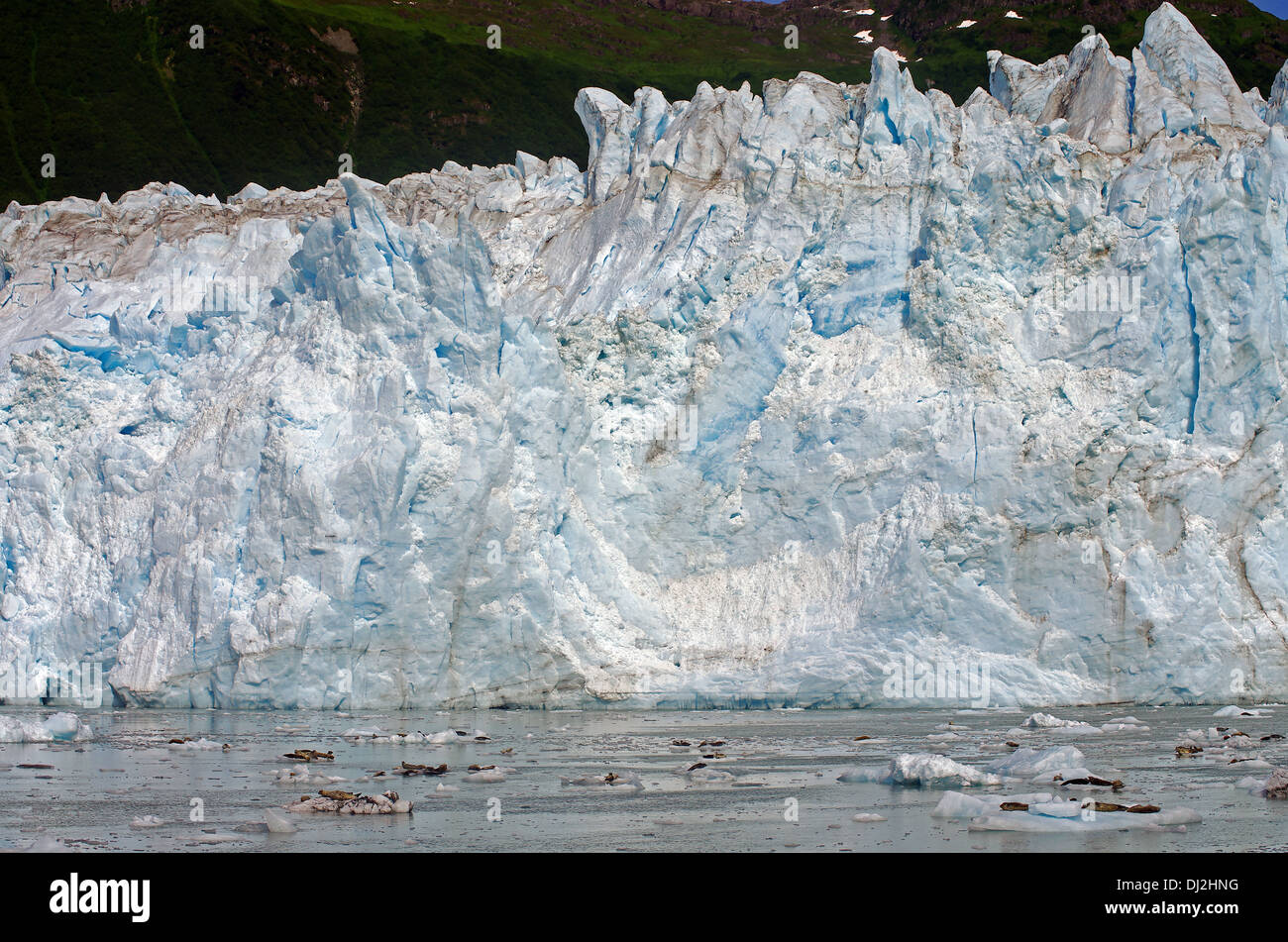 Il wounderful meares glacier Foto Stock