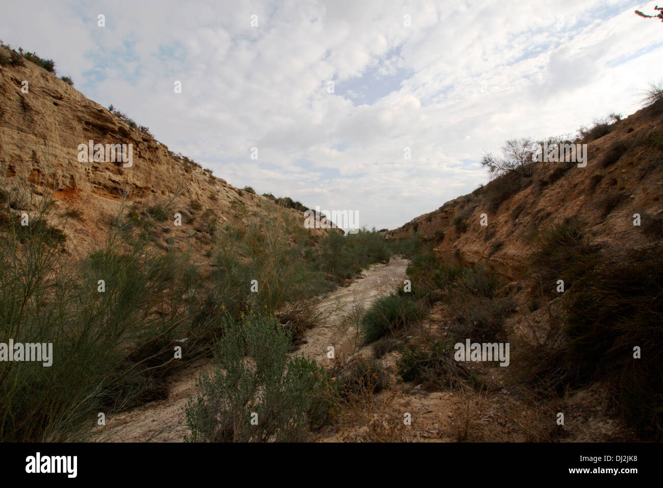 Essiccato fino fiume, Rambla del Cipres, Murcia Foto Stock