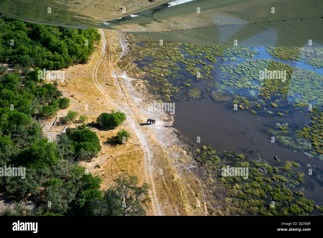Vedute aeree dal piano prima di prendere il Camp Savute Elephant Camp da Orient Express in Botswana nel Chobe National Park. Foto Stock