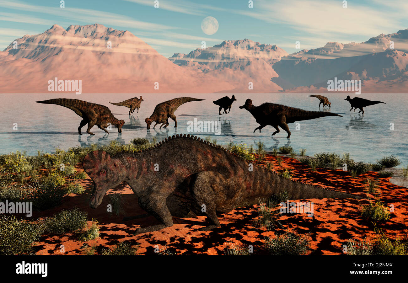 Erbivoro corythosaurus dinosauri Foto Stock