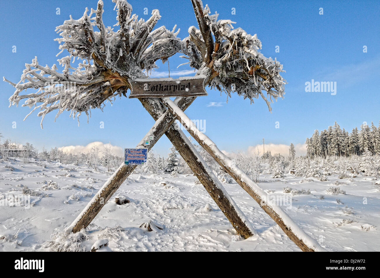 Lothar percorso in inverno Foresta Nera in Germania Foto Stock