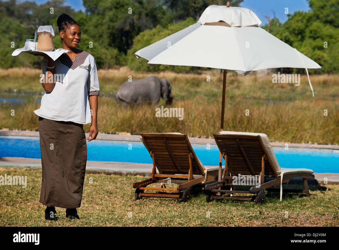 Una cameriera serve tè freddo per i turisti che arrivano in safari Khwai River Lodge Camp Orient Express in Botswana, Moremi Foto Stock