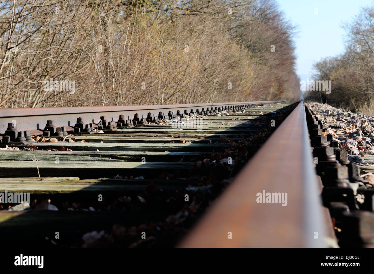 Dove lungo i binari della ferrovia in nessun luogo Foto Stock