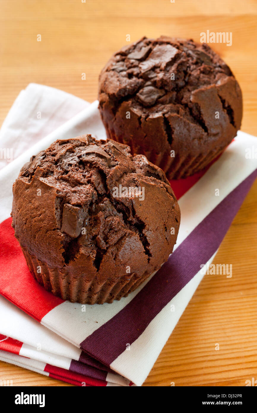 Muffin al cioccolato con scaglie di cioccolato fondente Foto Stock