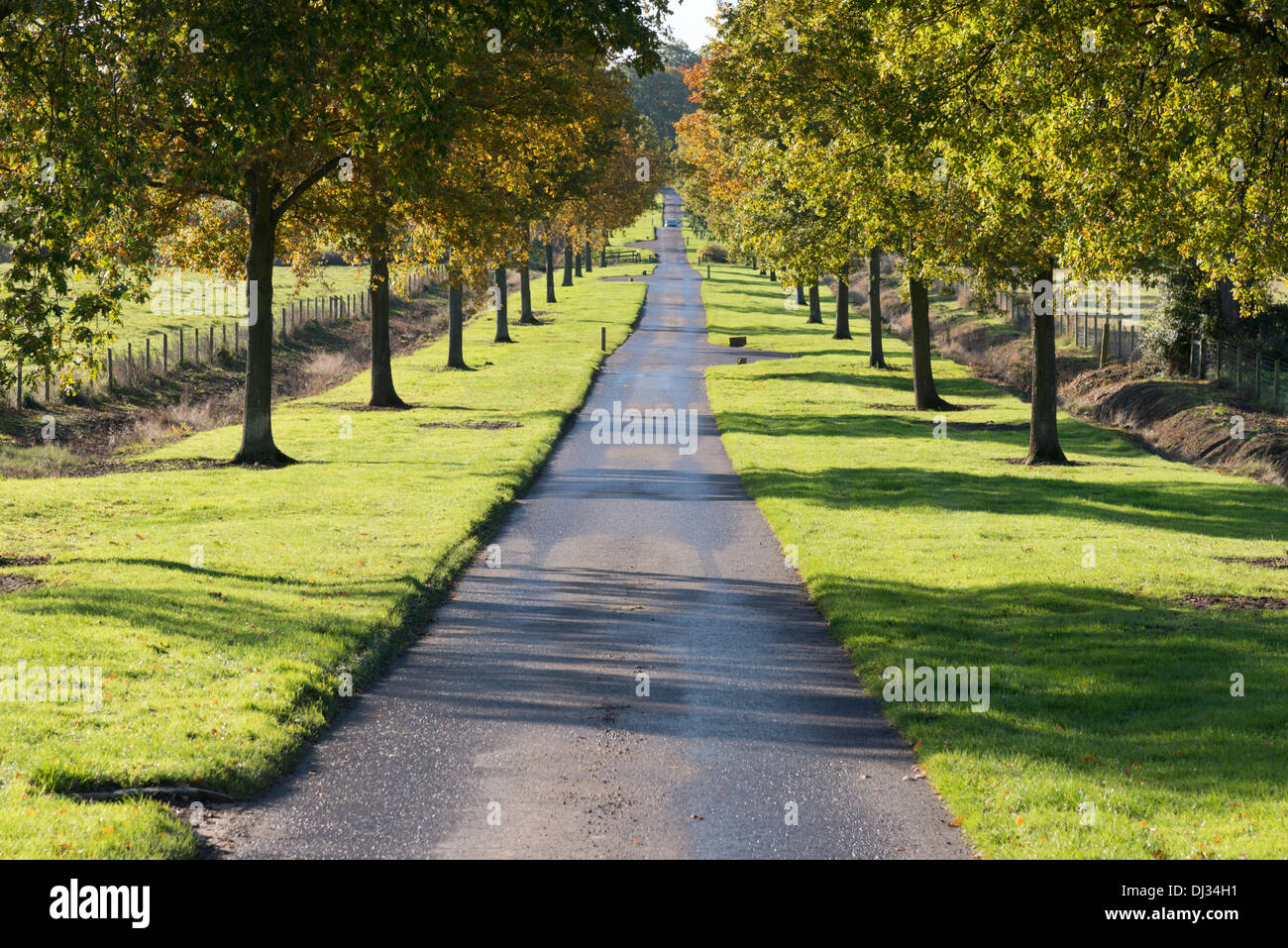 La strada che conduce a Batsford Arboretum vicino a Moreton in Marsh, il Costwolds REGNO UNITO Foto Stock