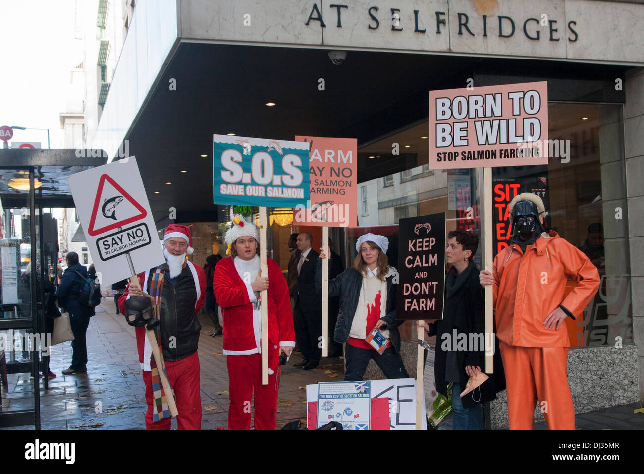 Londra, 20 novembre 2013. Un piccolo gruppo di dimostranti di manifestare contro l'allevamento del salmone al di fuori di Selfridges a Londra. Credito: Paolo Davey/Alamy Live News Foto Stock