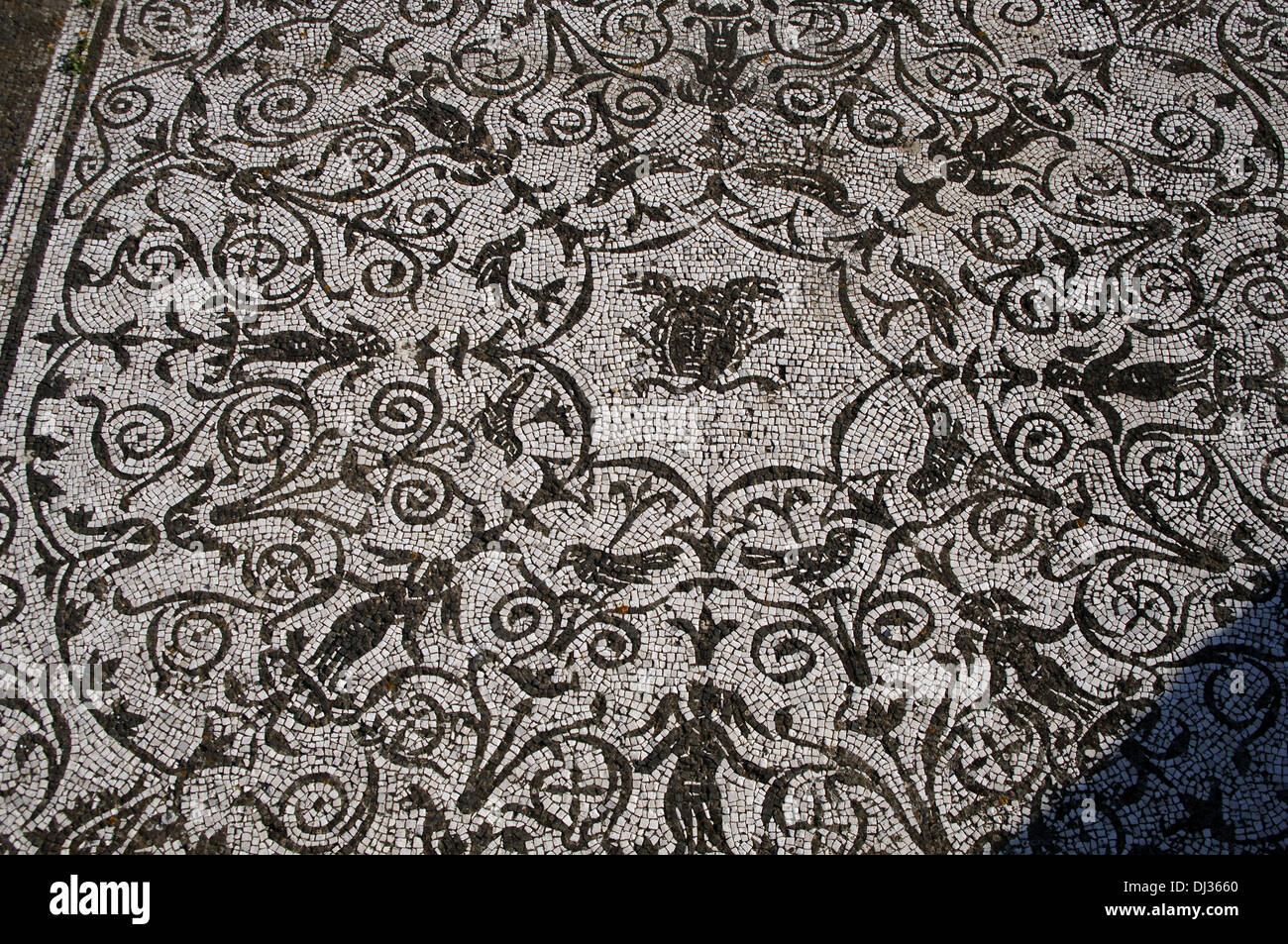 L'Italia. Ostia Antica. Casa di Bacco e Arianna. Pavimento a mosaico. Medusa. Foto Stock