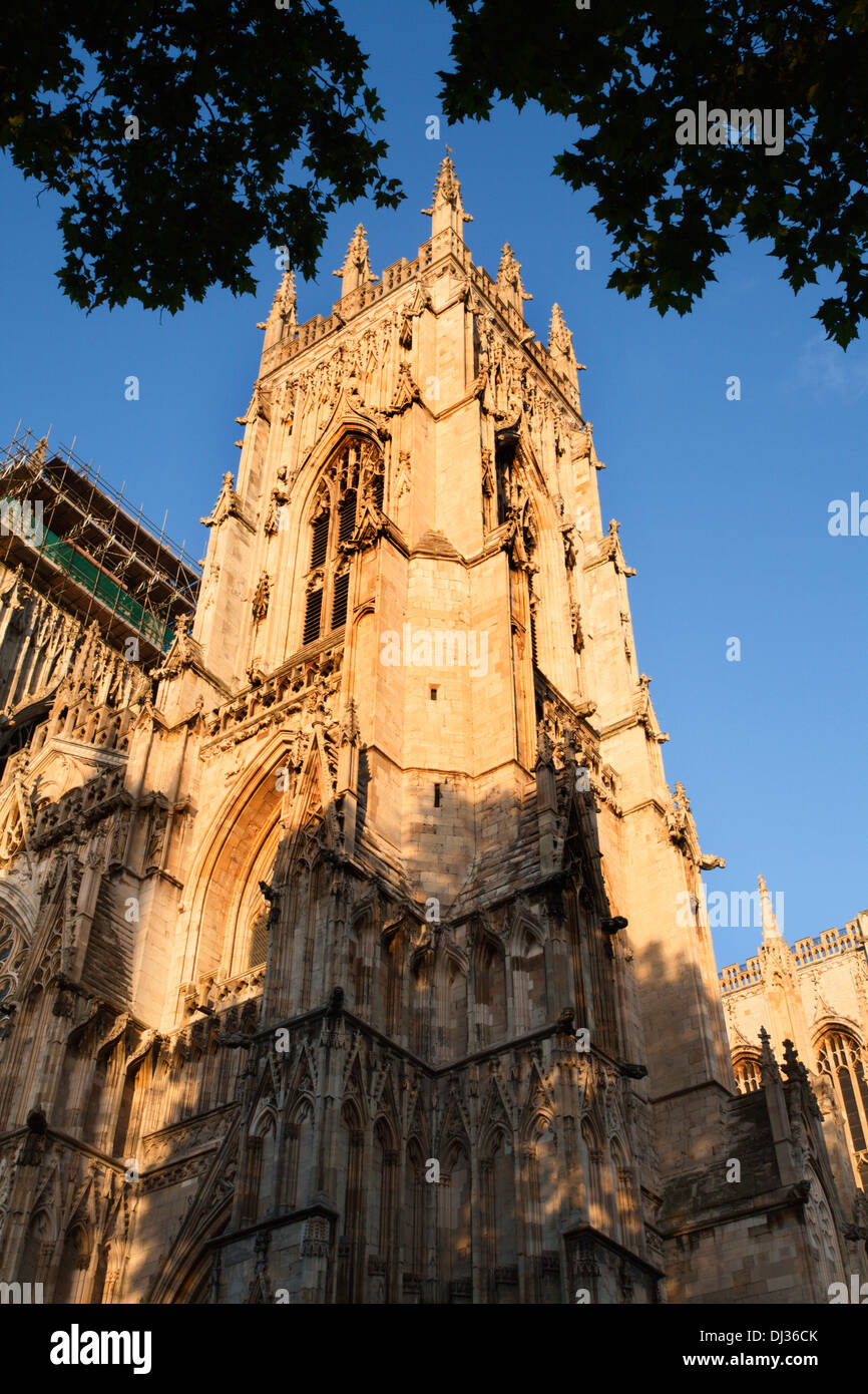 A sud-ovest la Torre di York Minster al tramonto della città di York Yorkshire Inghilterra Foto Stock