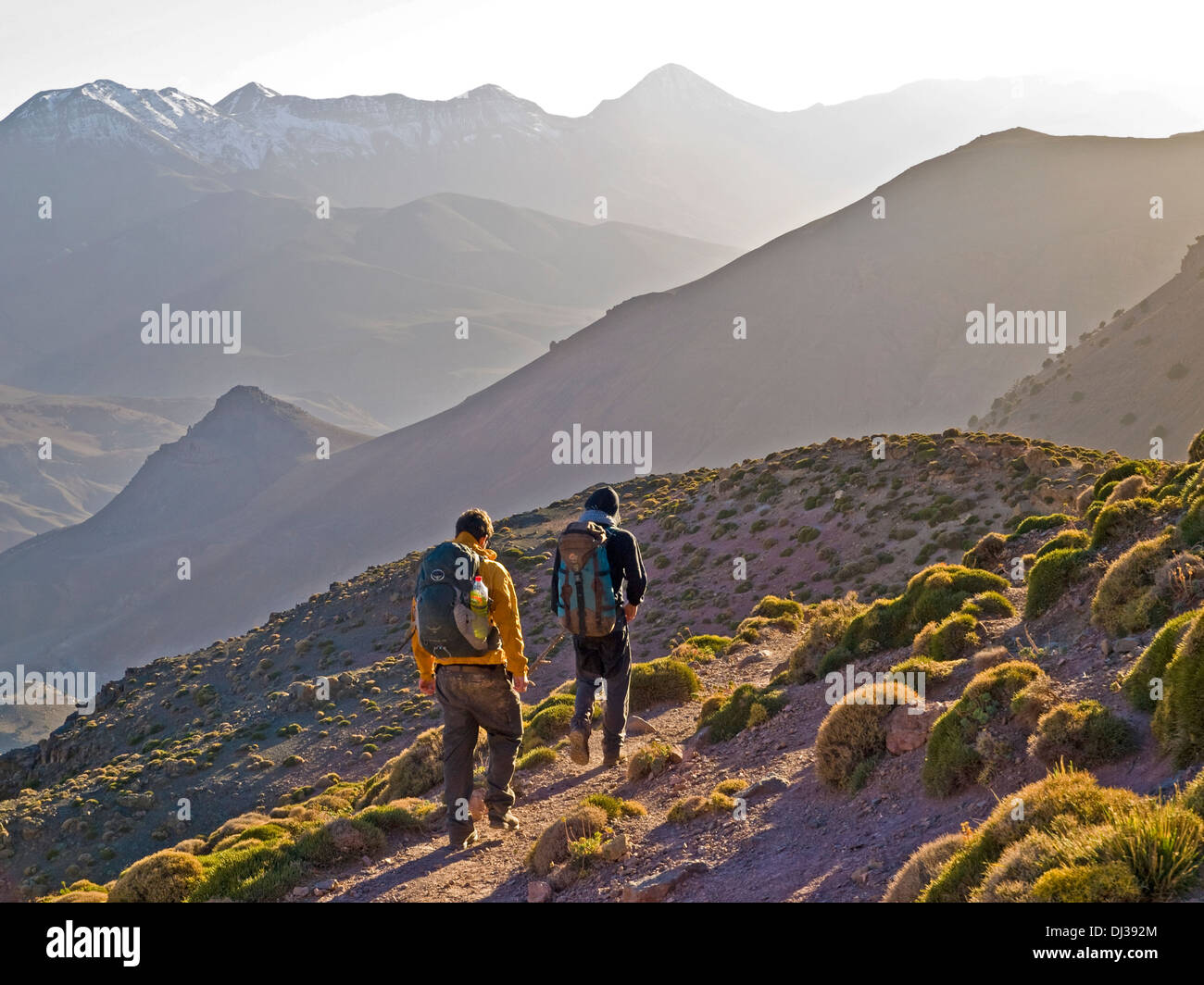 Due giovani uomini trekking in M'Goun regione del Marocco, Montagne Atlas Foto Stock