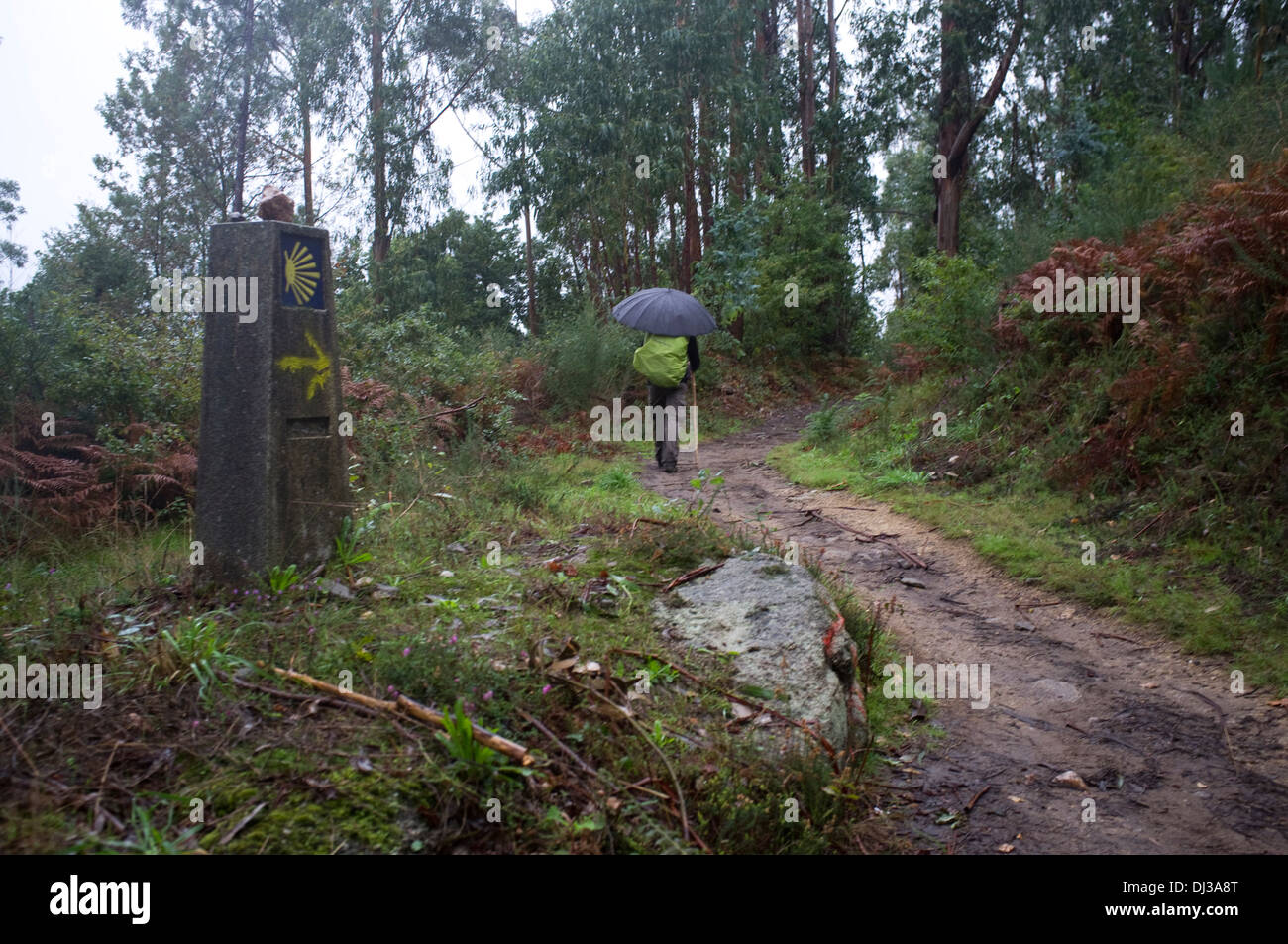 Pellegrino. Modo di St James, Galizia, Spagna. Camino de Santiago ombrello Foto Stock