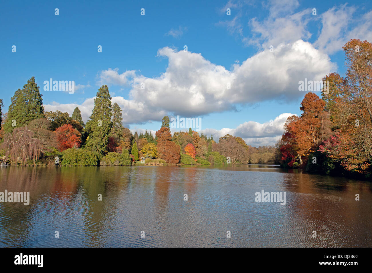 Donna superiore il modo stagno a Sheffield Park e Giardini, Uckfield, East Sussex, Inghilterra, ( National Trust) Regno Unito Foto Stock