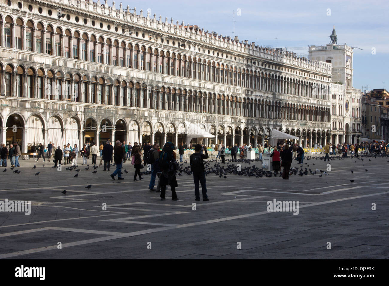 Le Procuratie Vecchie sul lato nord di Piazza San Marco a Venezia Foto Stock