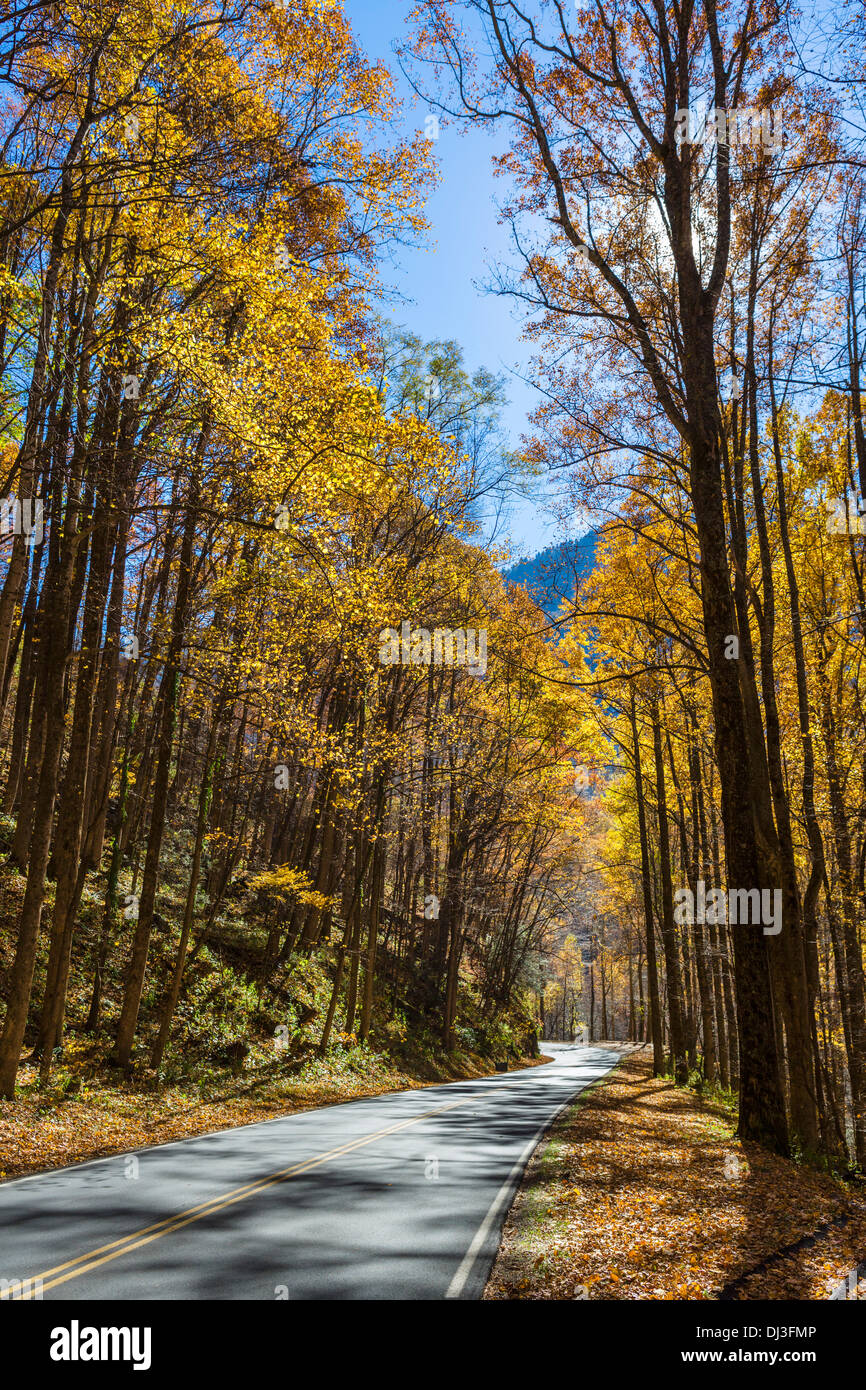 Ritrovata la strada Gap attraverso il Great Smoky Mountains National Park in autunno, Tennessee, Stati Uniti d'America Foto Stock