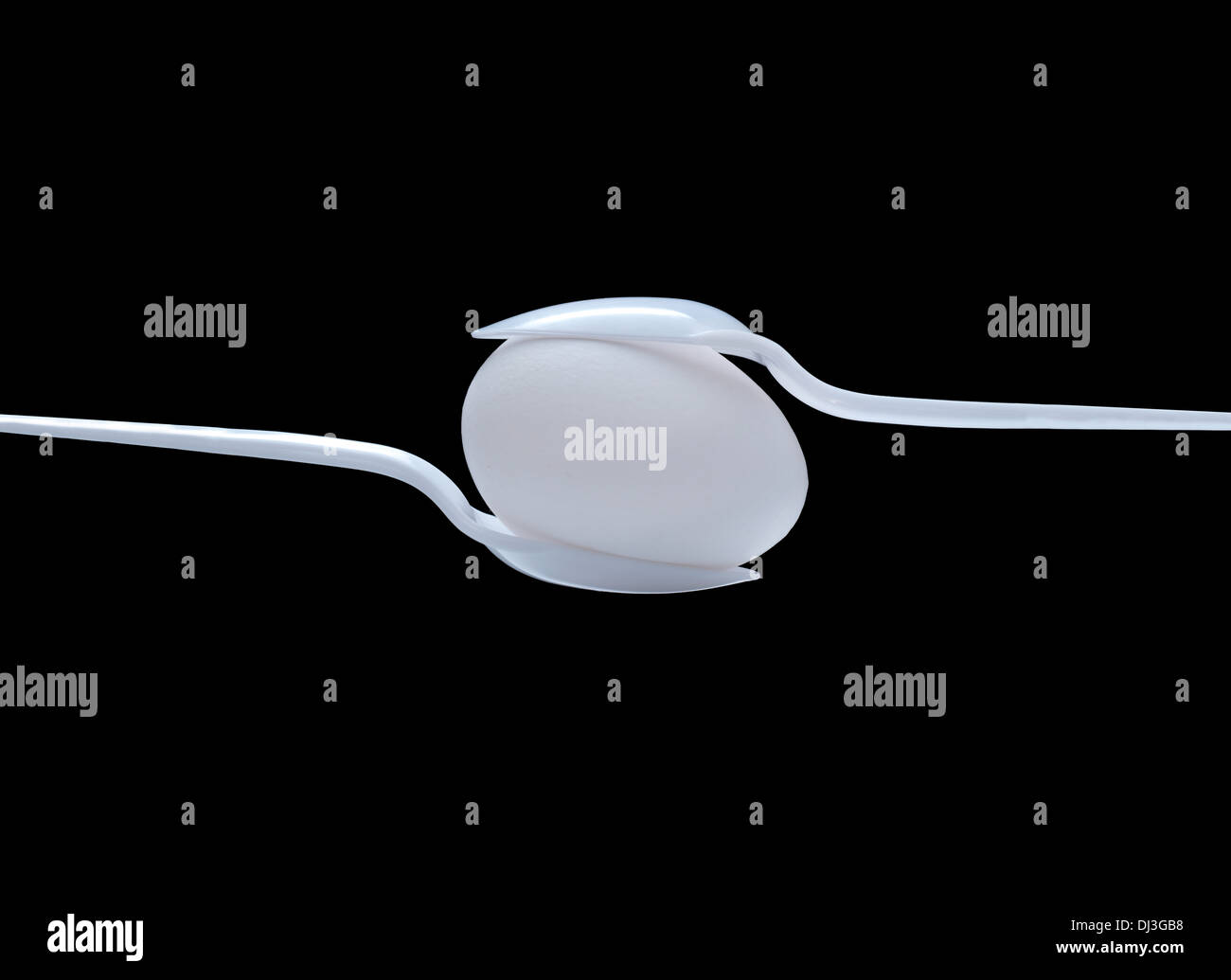 Immagine astratta di due cucchiai di bianco tenendo un bianco Uova di polli. Fotografati contro il nero. Foto Stock