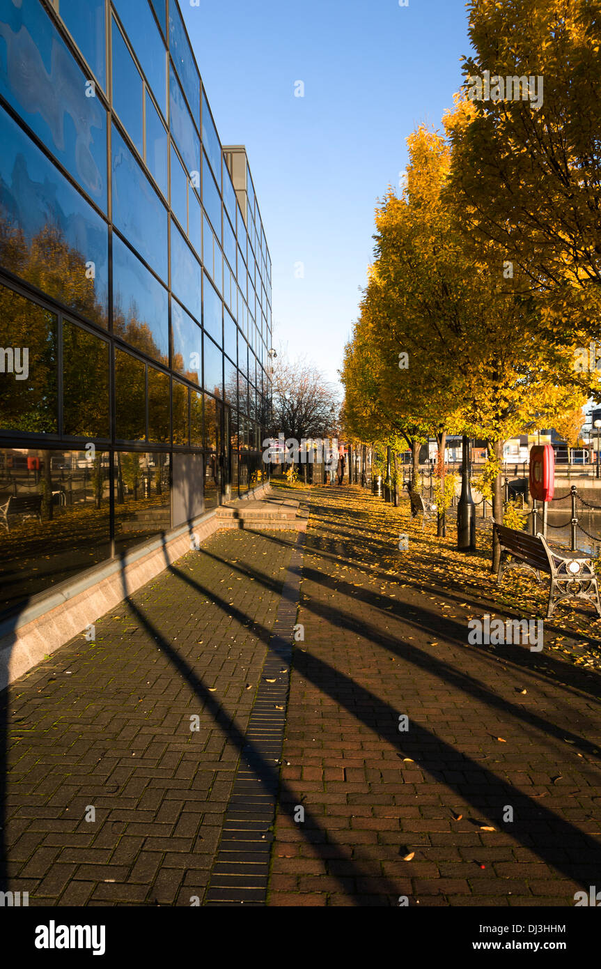 Gli alberi con i colori autunnali si riflette in carica Windows. Salford Quays, Manchester, Inghilterra, Regno Unito Foto Stock