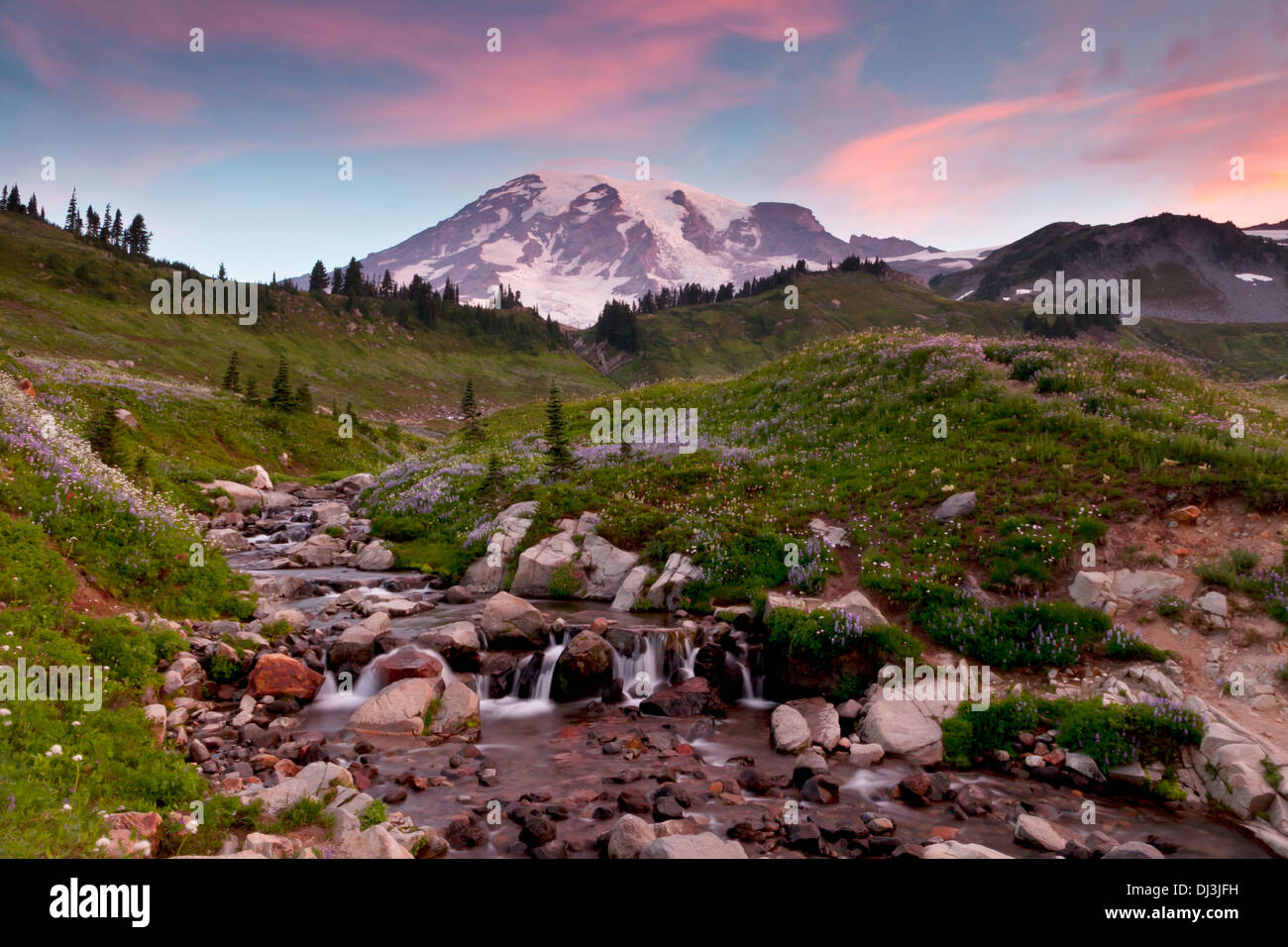 Mount Rainier sopra Edith Creek come le nuvole diventano rosa al di sopra del suo vertice, il Parco Nazionale del Monte Rainier, Washington. Foto Stock