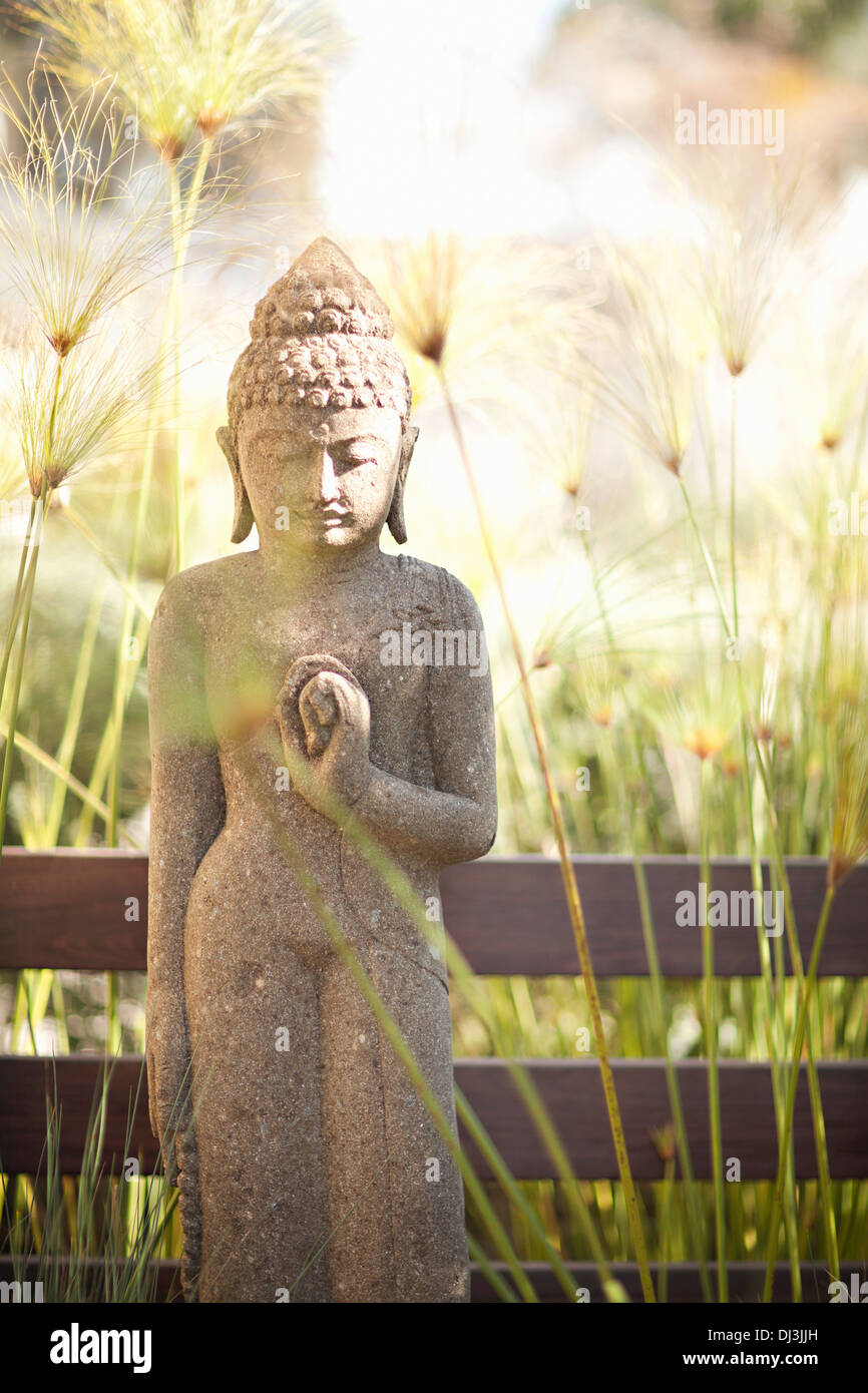 Erba alta circa statua di Buddha nel giardino soleggiato Foto Stock
