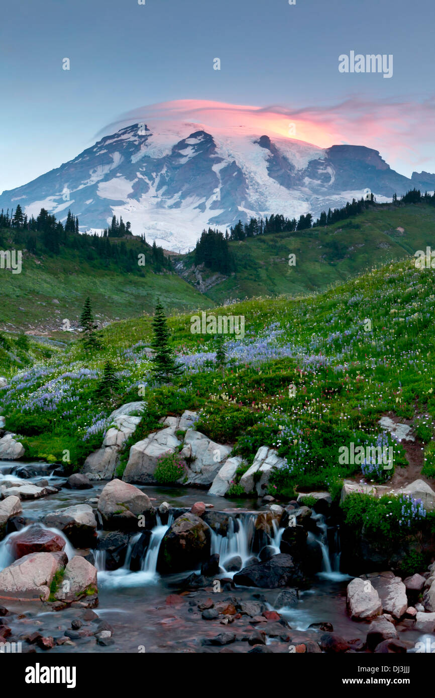 Mount Rainier sopra Edith Creek con una nube lenticolare in cima, il Parco Nazionale del Monte Rainier, Washington. Foto Stock