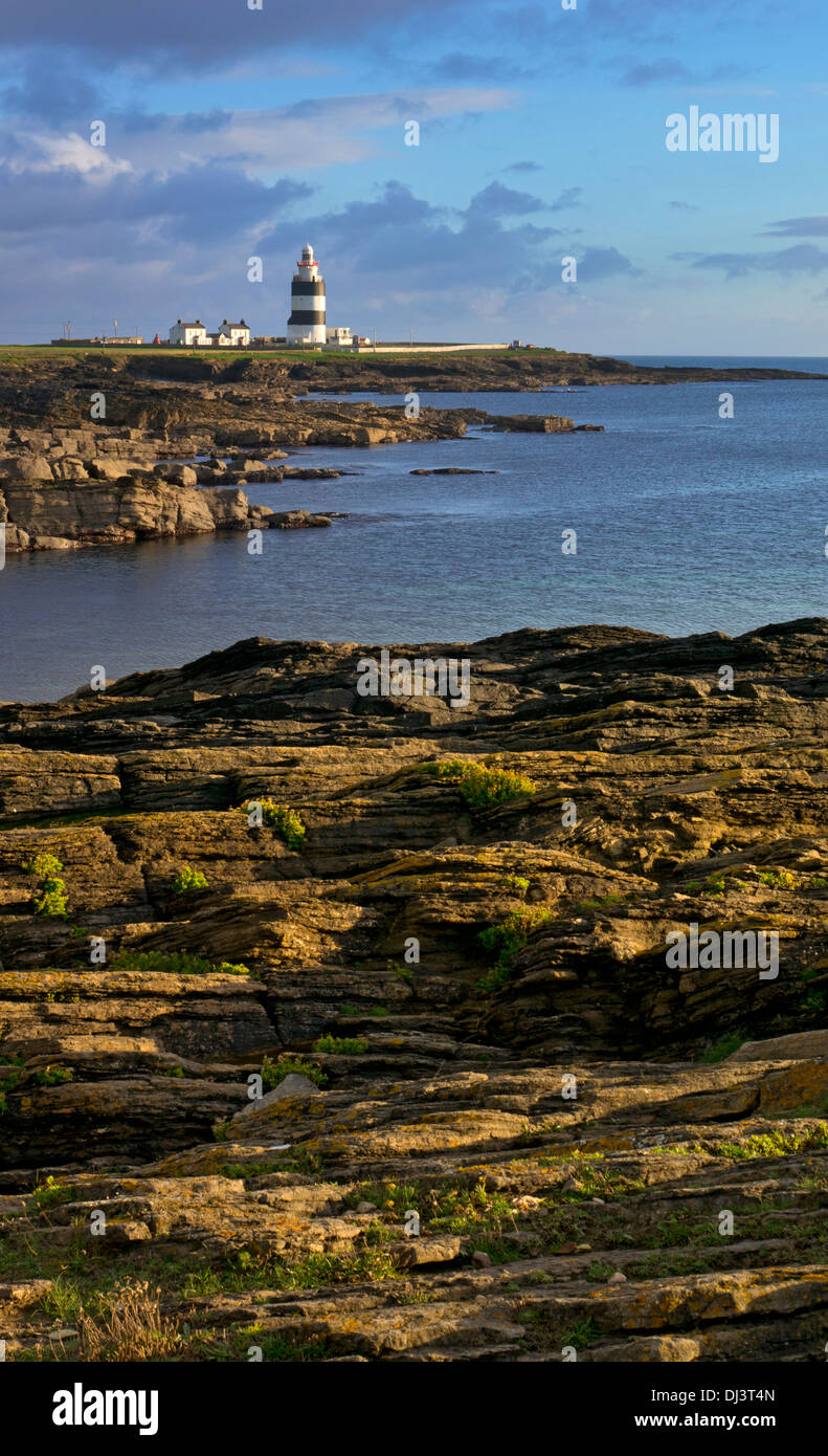 Rocce e baia di Hook Head Lighthouse, County Wexford, Irlanda Foto Stock