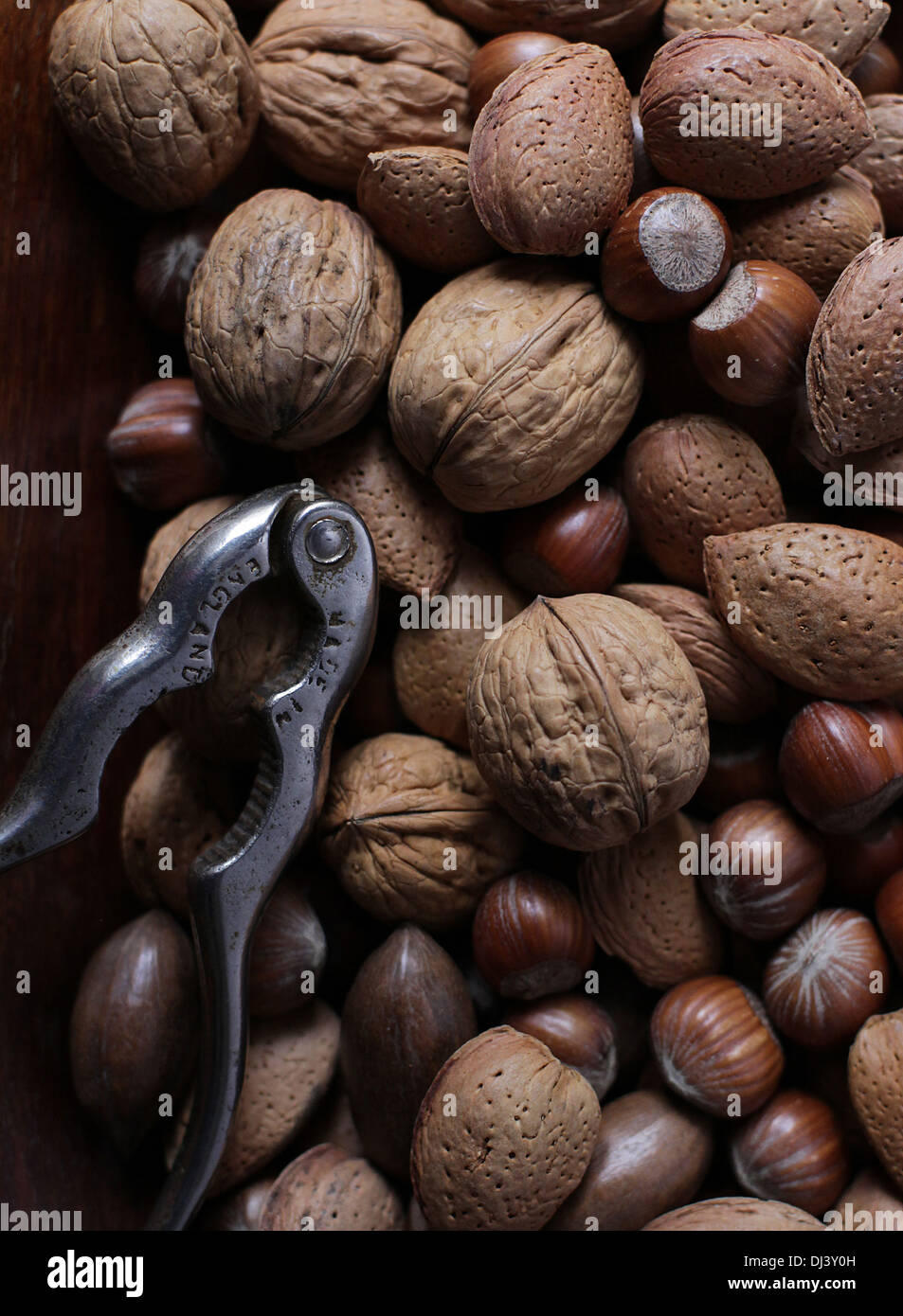 Schiaccianoci e i dadi nei gusci Foto Stock