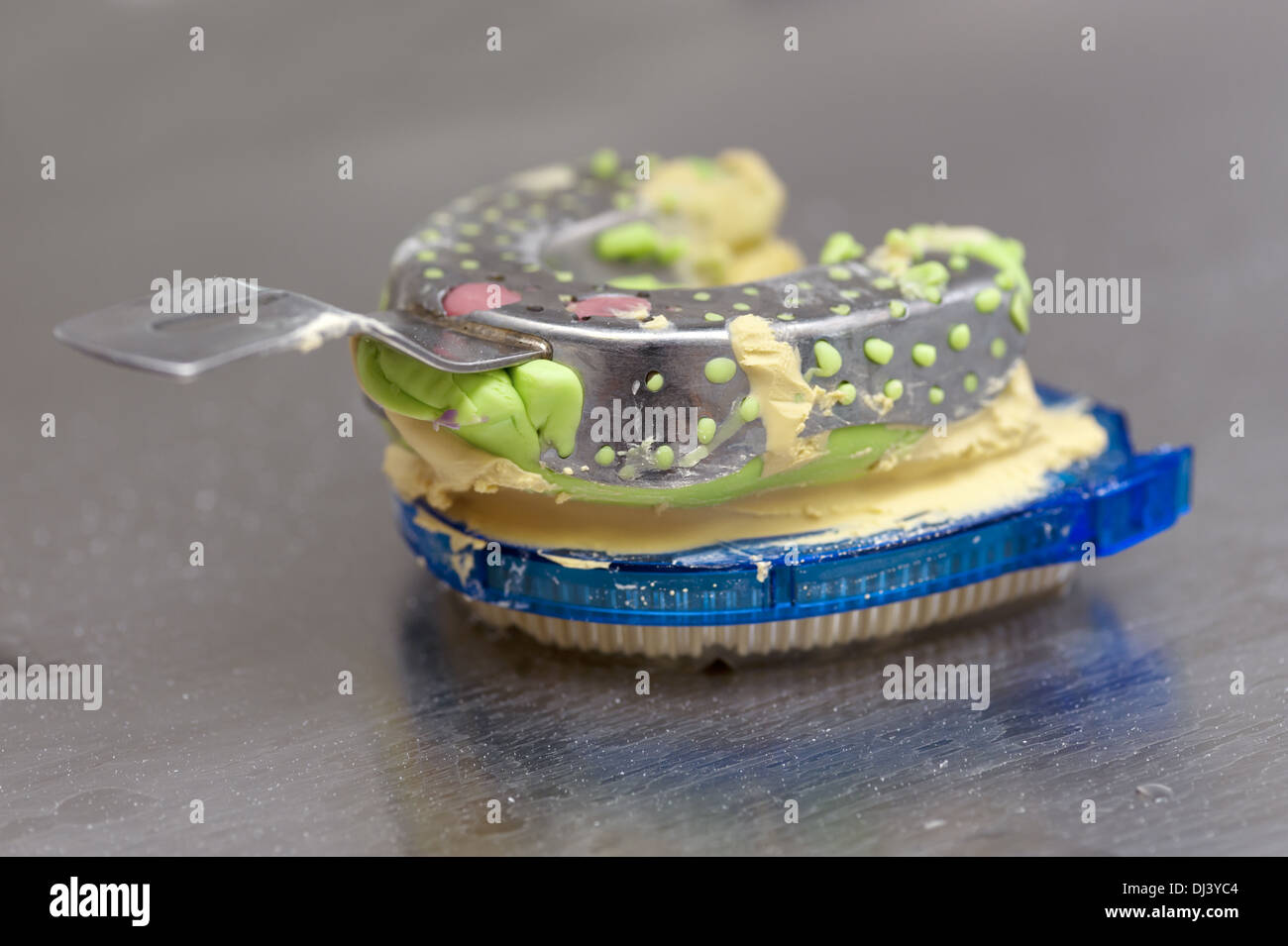 Ganascia superiore modello dell'indurimento Foto Stock