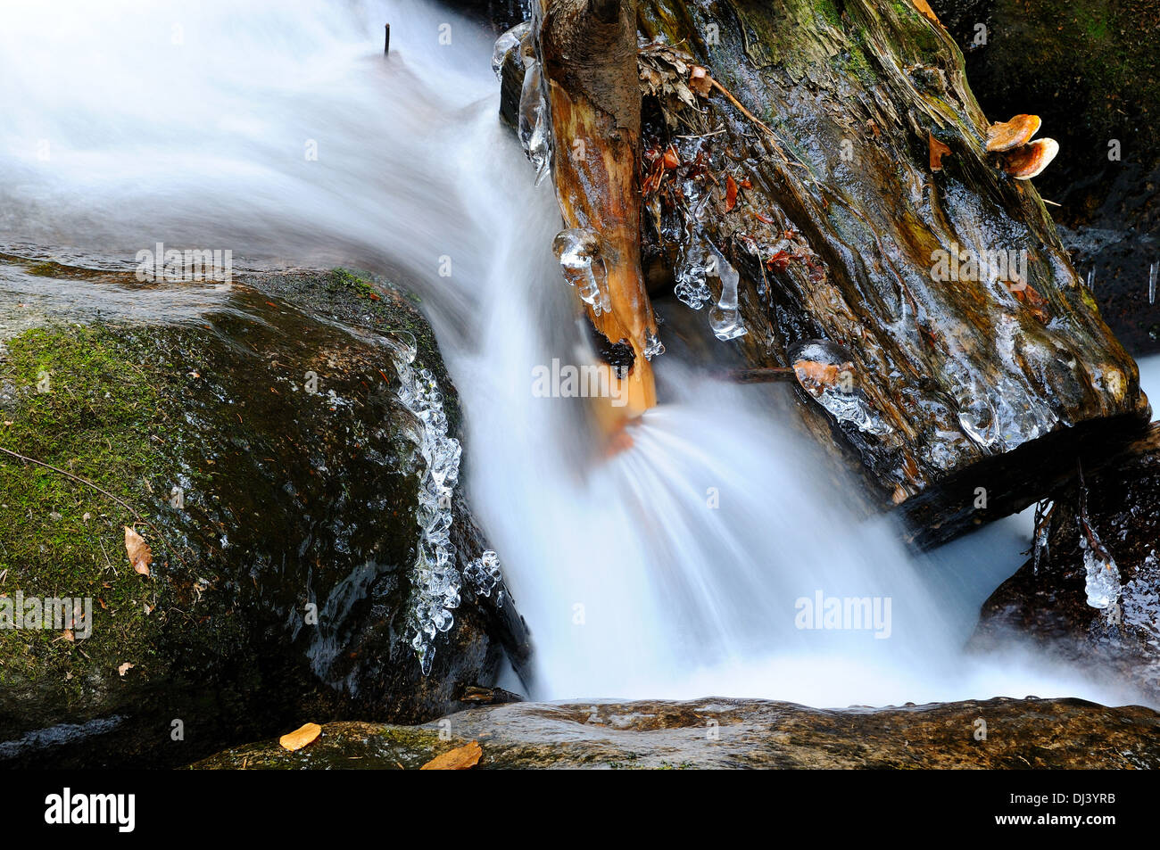 La resistenza in acqua Foto Stock