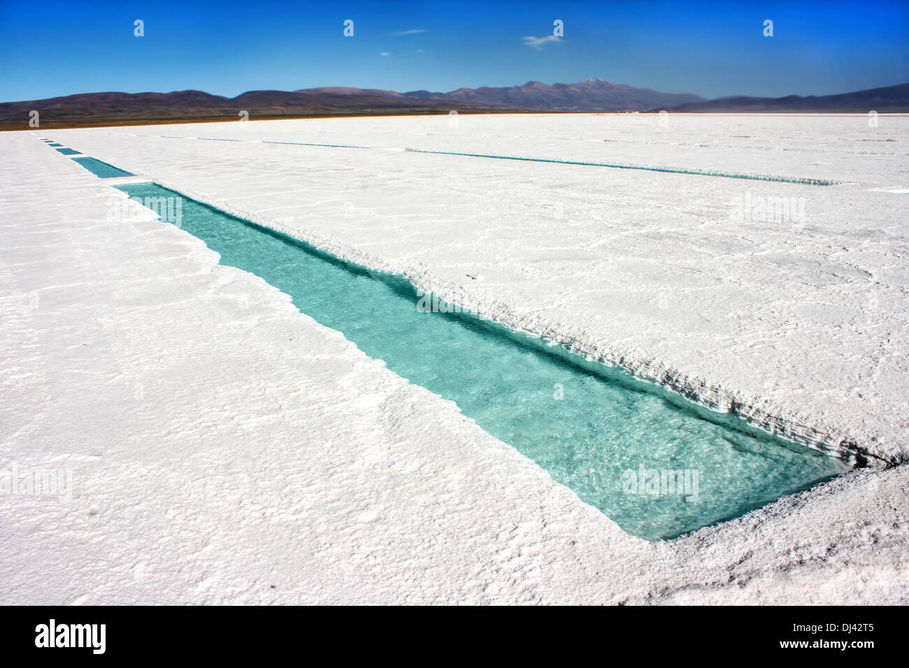 Un enorme campo di sale nel nord dell'Argentina Foto Stock