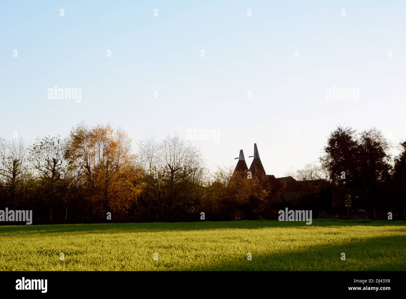 Due oast Case rurali in Kent nell'autunno del sole di setting Foto Stock