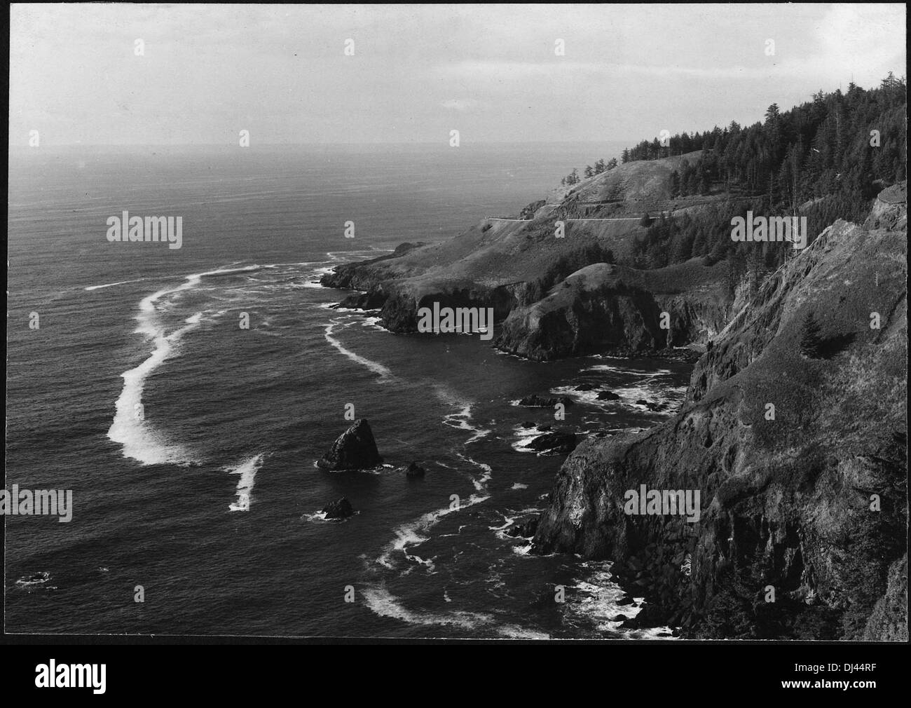 L'immagine mostra una vista a nord da Otter Crest, offrendo un panorama panoramico della costa. Otter Crest è conosciuta per i suoi pittoreschi paesaggi lungo la costa dell'Oregon. Foto Stock