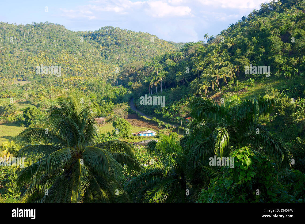 Paesaggio panoramico, Baracoa, Cuba Foto Stock
