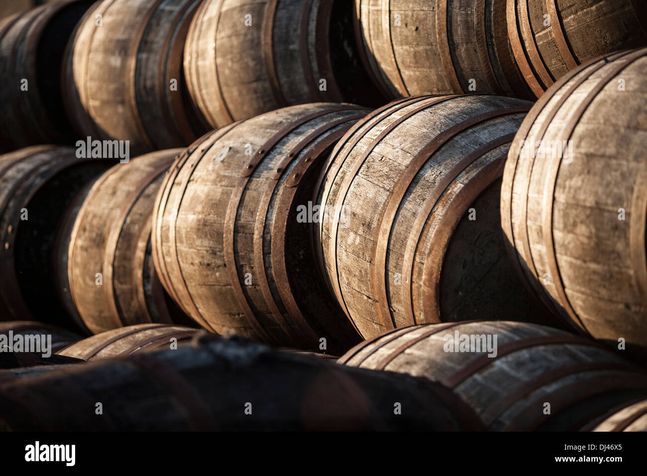 Whisky botti accatastate in una calda luce della sera Foto Stock