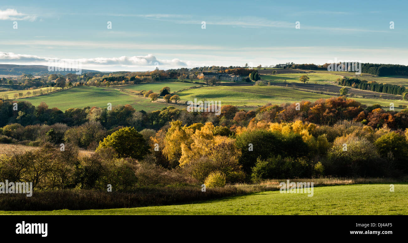Il Derwent Valley sopra Allensford Foto Stock