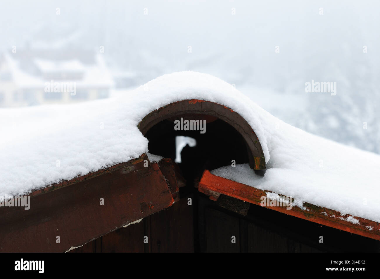 Neve sulle tegole del tetto Foto Stock