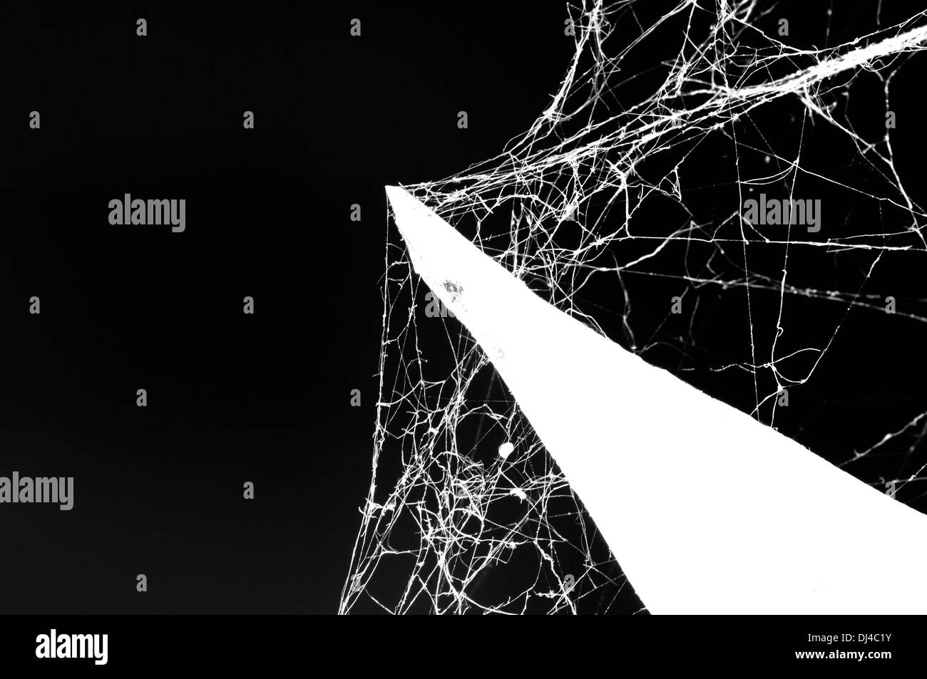 Seta del ragno Foto Stock