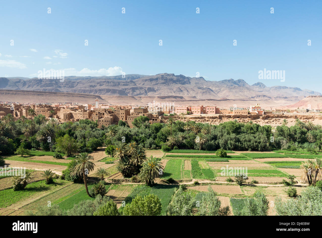 Oasis, città deserta di Tinghir, Marocco, sulle montagne dell'Atlante Foto Stock