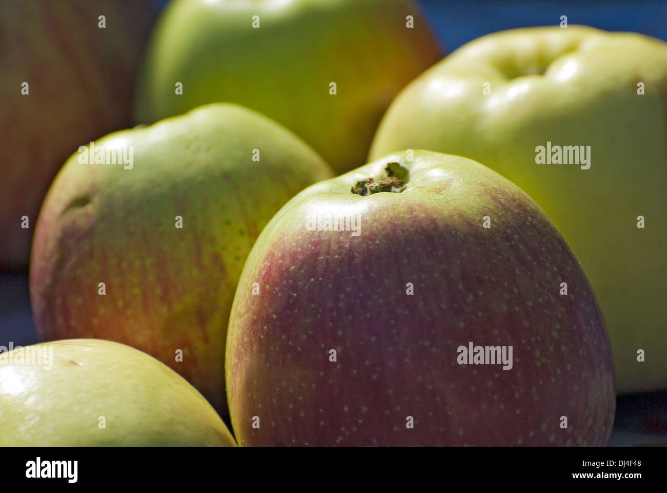 Le mele nel back-light Foto Stock