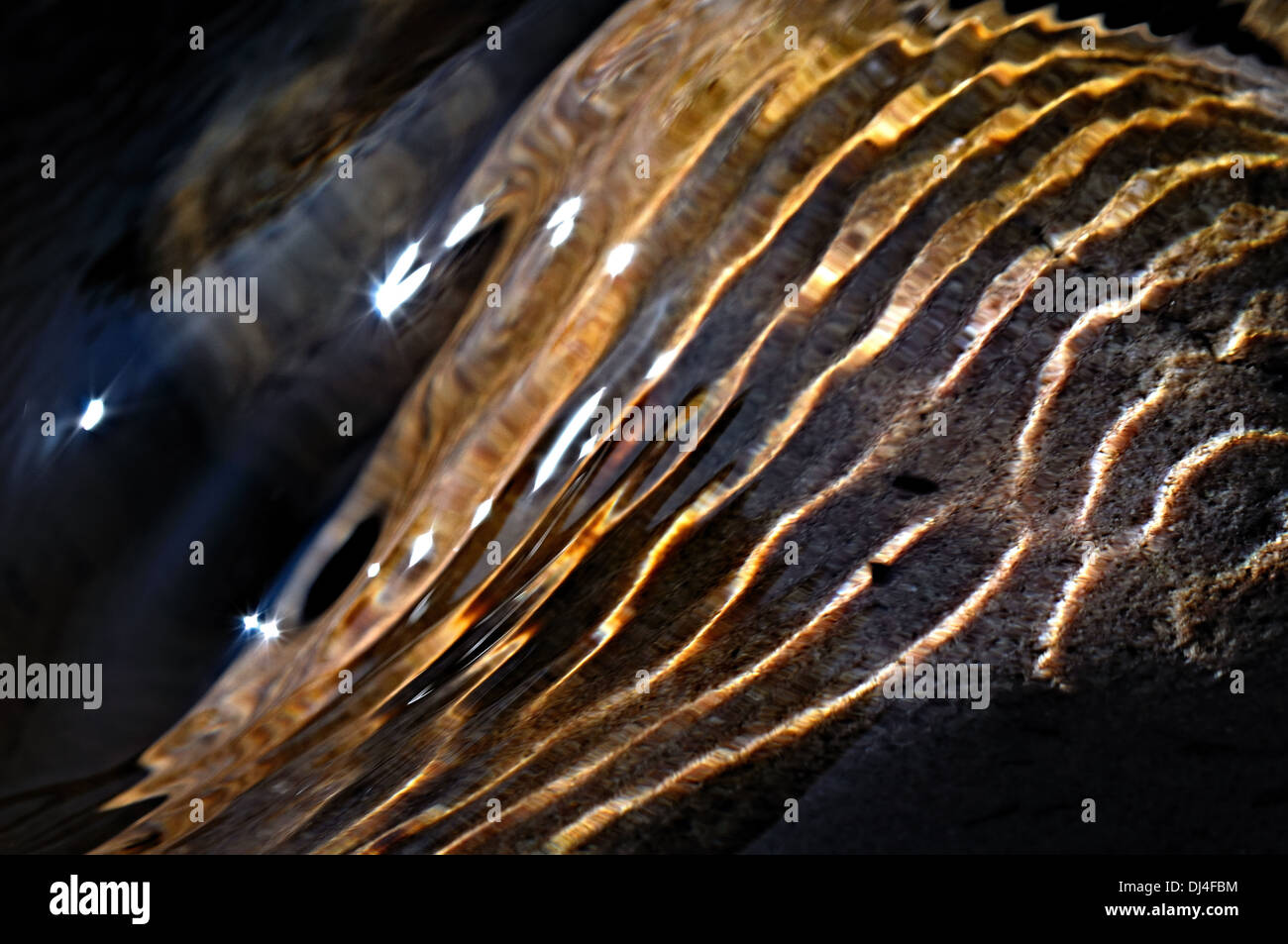 La luce del sole nell'acqua Foto Stock