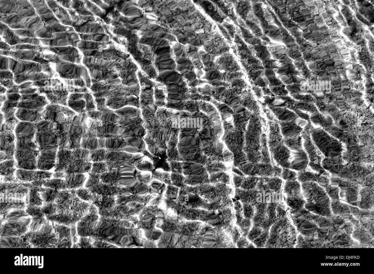 Rete sotto l'acqua in bianco e nero Foto Stock