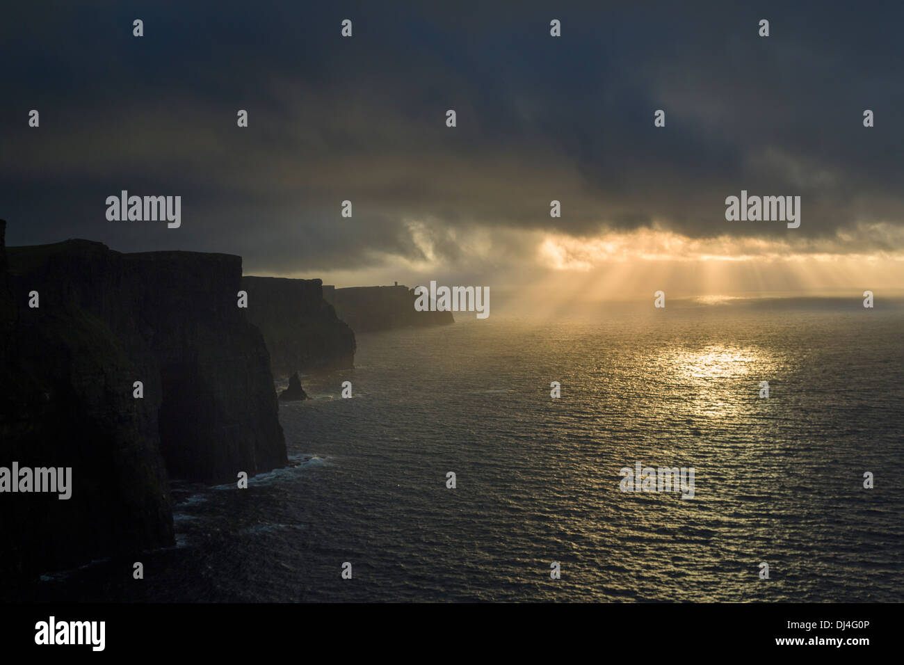 Scogliere di Moher, Co. Clare, costa ovest dell Irlanda Foto Stock