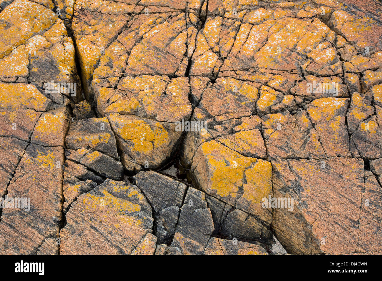 Lewisian Gneiss, alcune delle rocce più antiche del mondo in corrispondenza di una piccola spiaggia presso: Achmelvich in Assynt, North West Highlands, Scotland, Regno Unito. Foto Stock