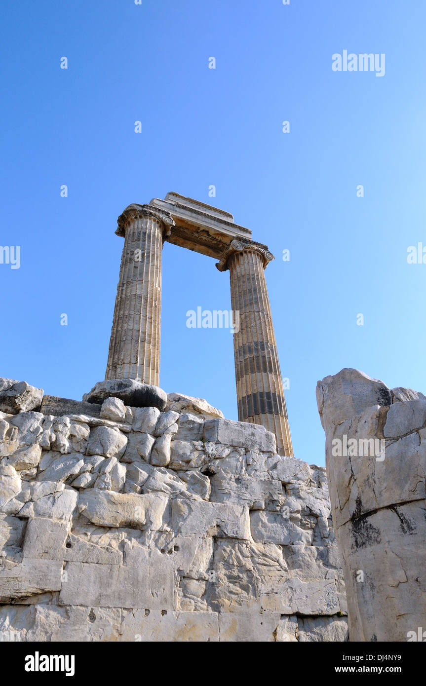Verso il cielo Foto Stock