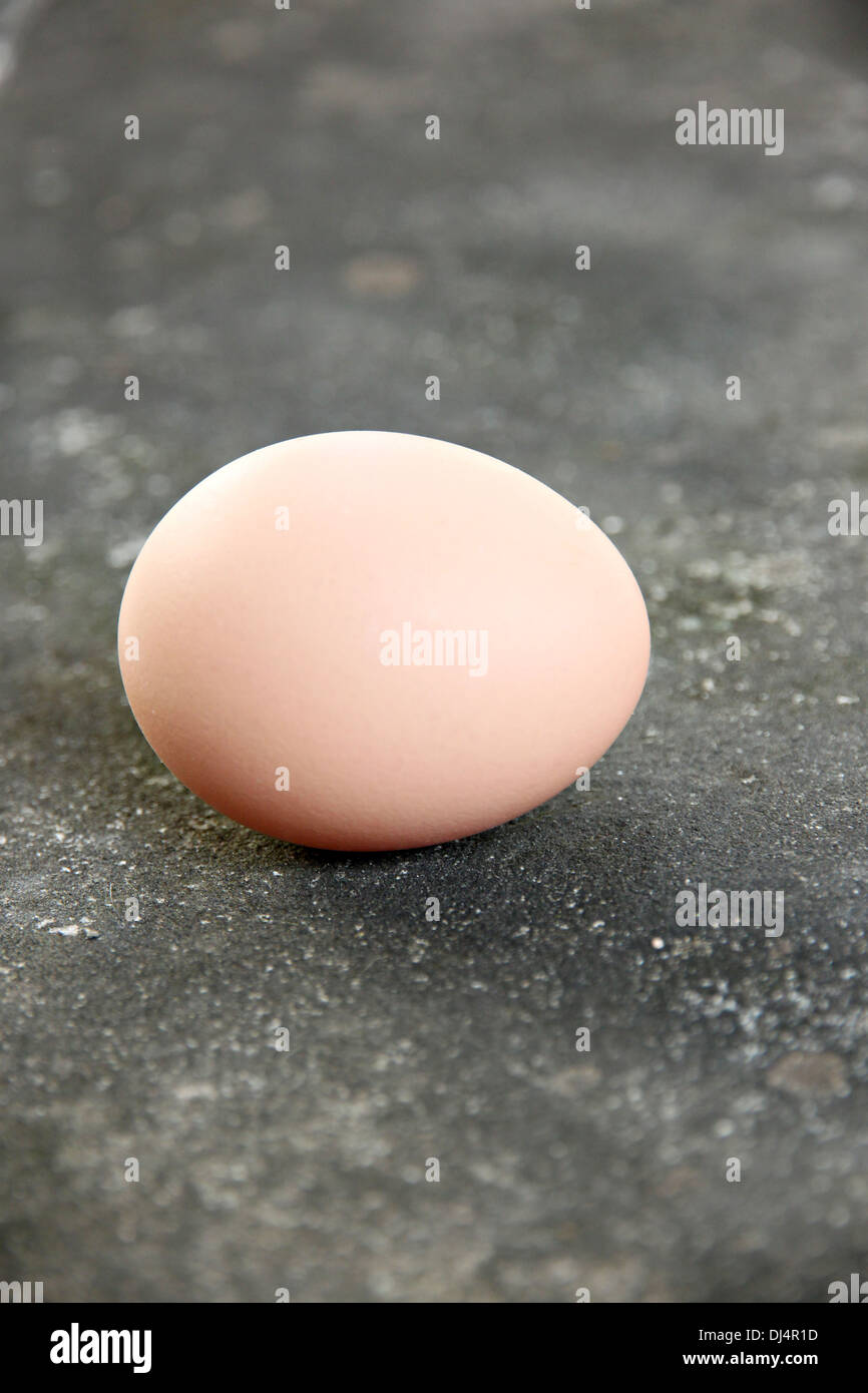 La messa a fuoco delle immagini uova deposte sul pavimento. Foto Stock