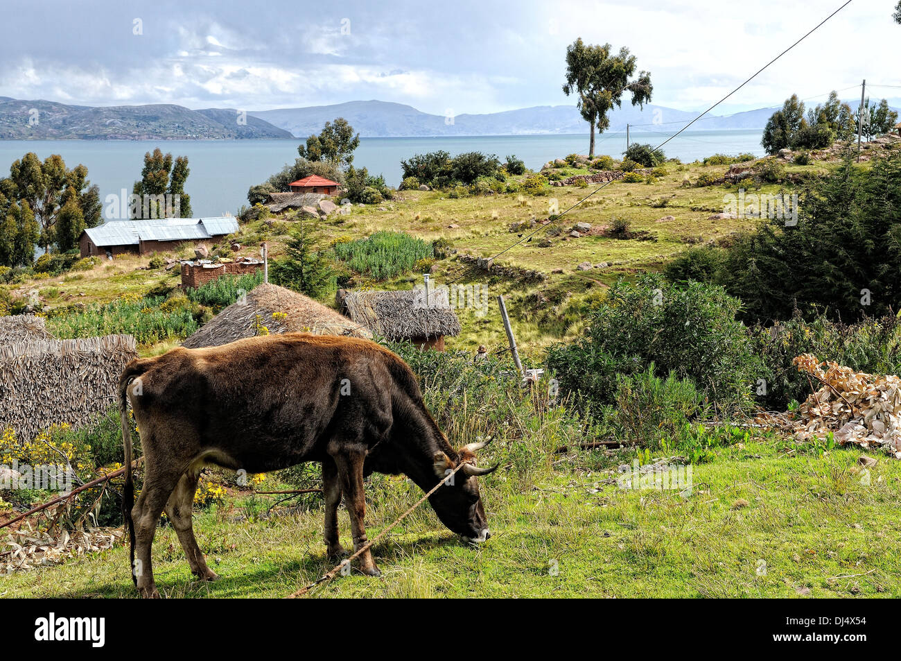 Il paesaggio del Lago Titicaca Foto Stock