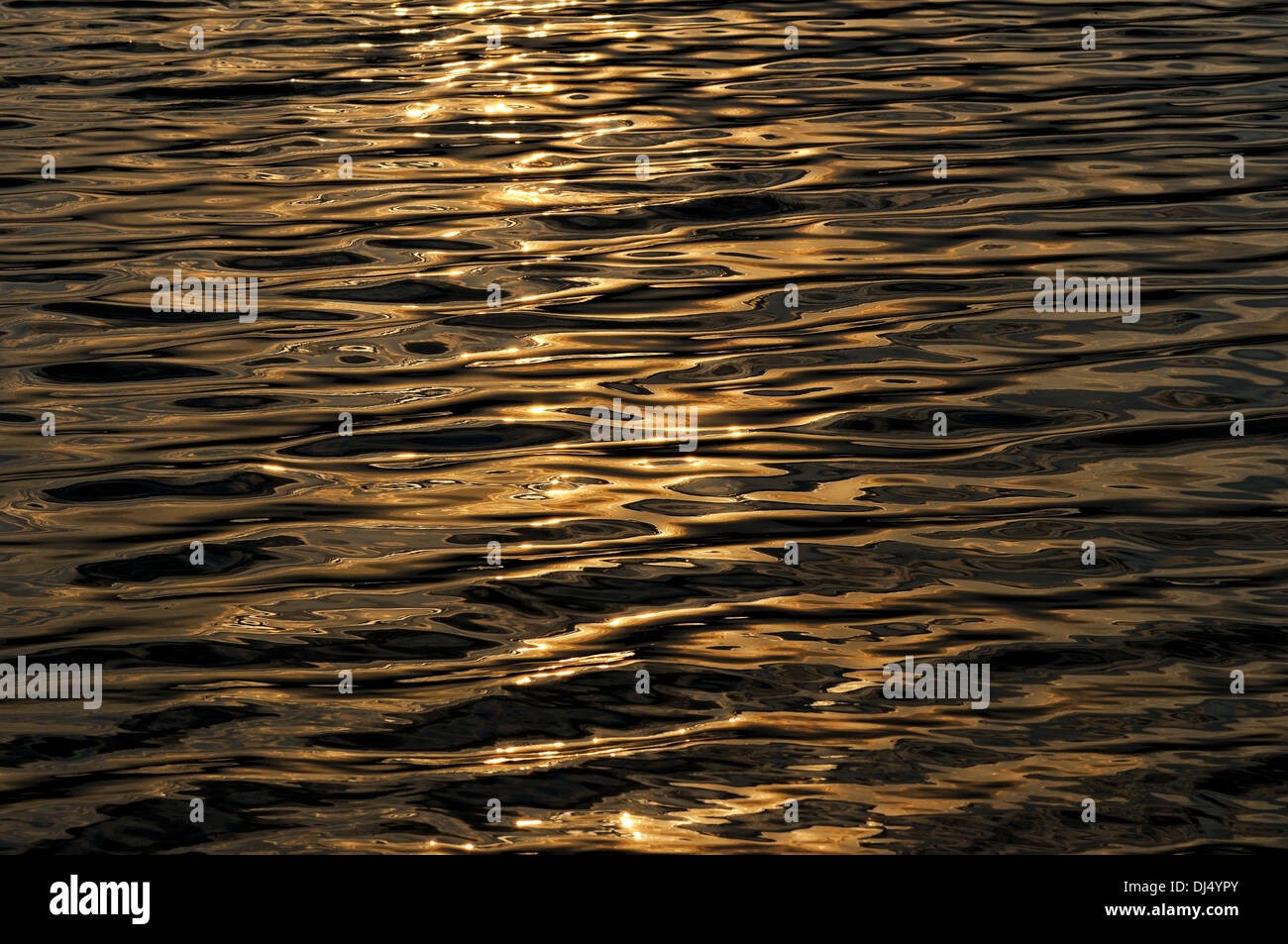 Golden texture acqua Foto Stock