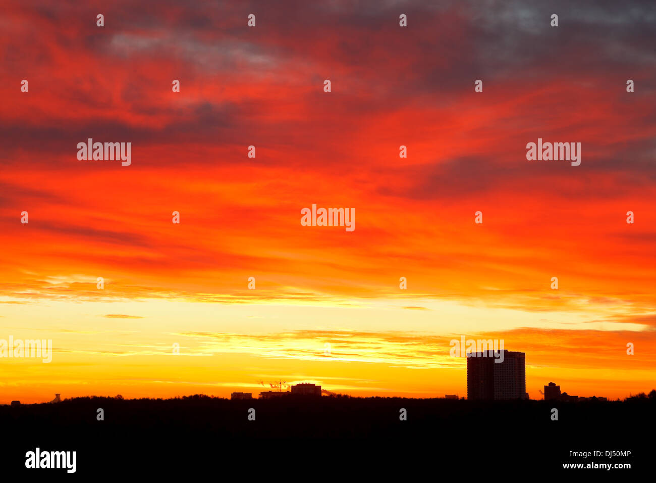 Drammatica rosso brillante, giallo, blu nubi nel cielo di sunrise su case urbane Foto Stock